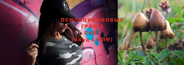соль ск Алзамай