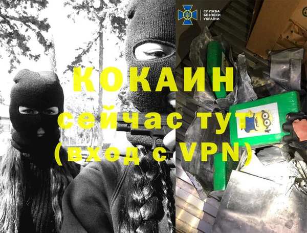 соль ск Алзамай