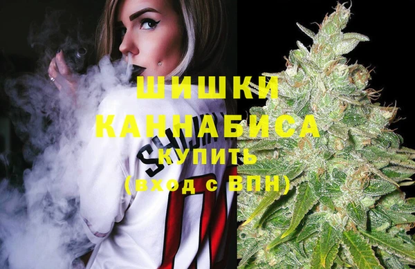 соль ск Алзамай